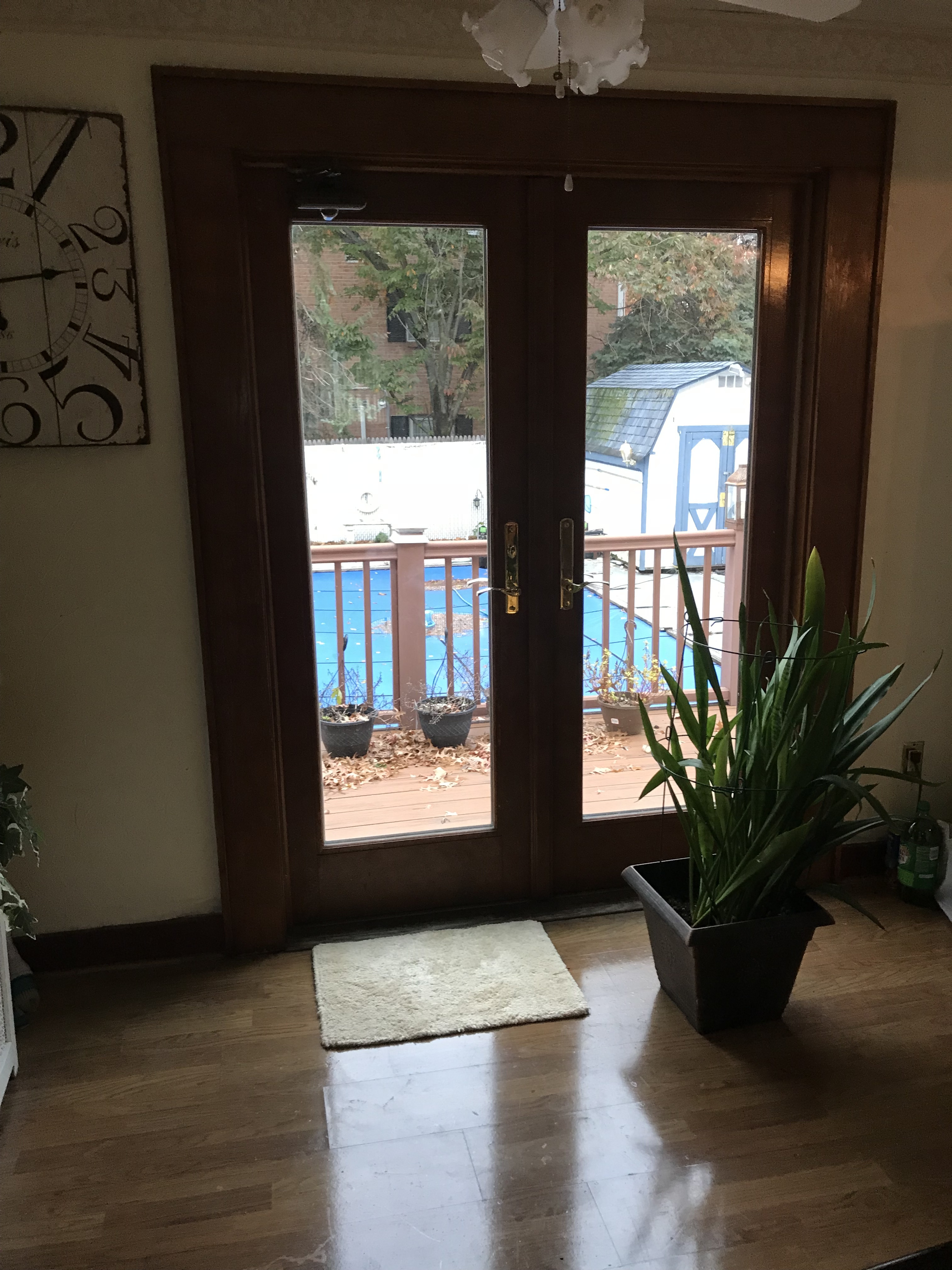 Lovely Bloomfield Colonial at 25 Rawson Street